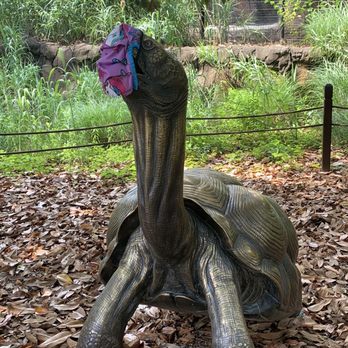 Virginia Zoo - Masks required during this time. - Zoos Near Me - Norfolk, Virginia Virginia Zoo - Masks required during this time. - Zoos Near Me - Norfolk, Virginia