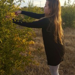 Blue Ridge Organic Farm - Teenager even loved it
