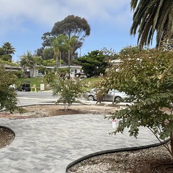 Moon Valley Nurseries - Front yard trees - Tree Services Near Me - Irvine, California Moon Valley Nurseries - Front yard trees - Tree Services Near Me - Irvine, California