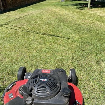 Whitehall Lawn Care - a lawn mower on the grass - Lawn Services Near Me Whitehall Lawn Care - a lawn mower on the grass - Lawn Services Near Me