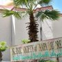 Photo of Islamic Society of Tampa Bay Area