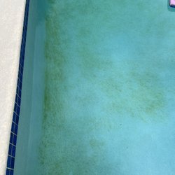 Pools Plus