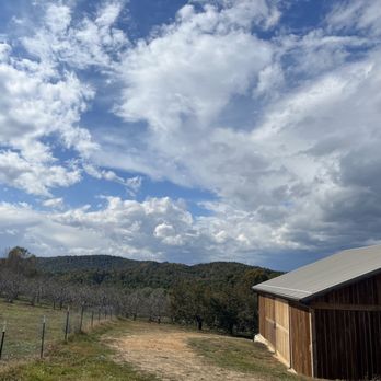 Sky Top Orchard - Pick Your Own Farms Near Me - Zirconia, North Carolina