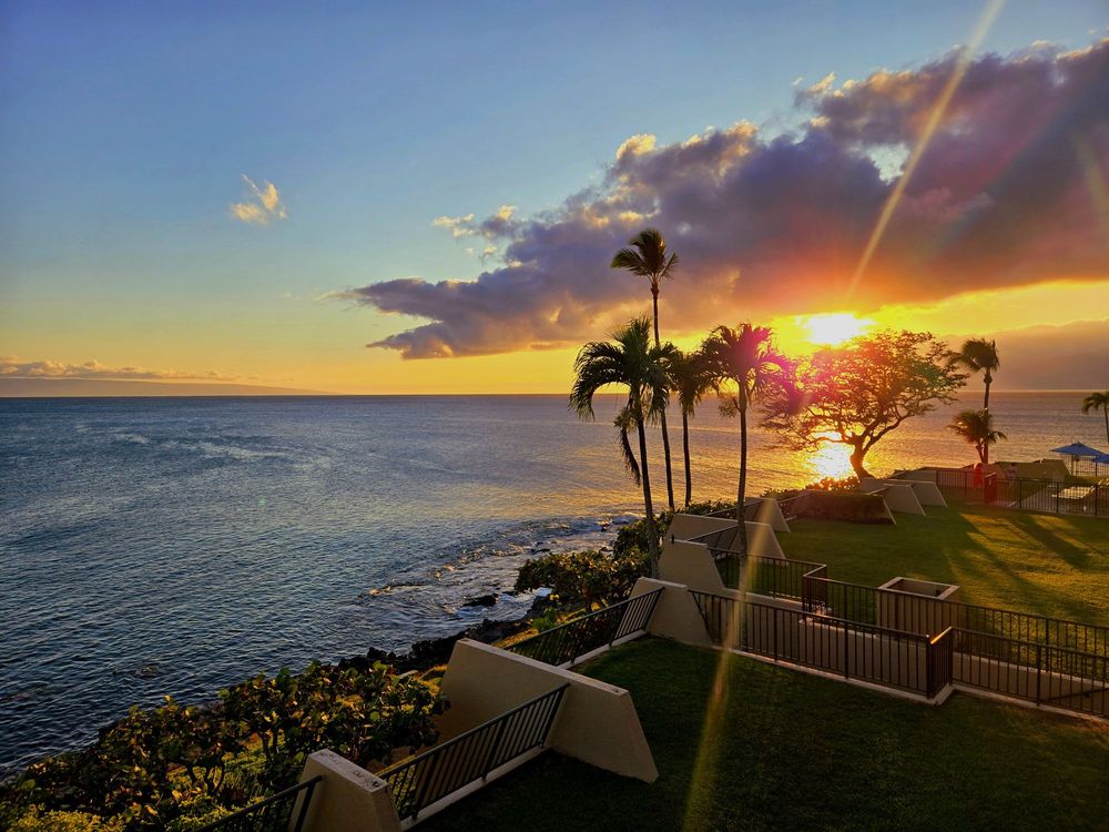 Boss Frog's Snorkel, Bike, & Beach Rentals - South Kihei Logo