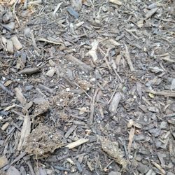The Mulch Center