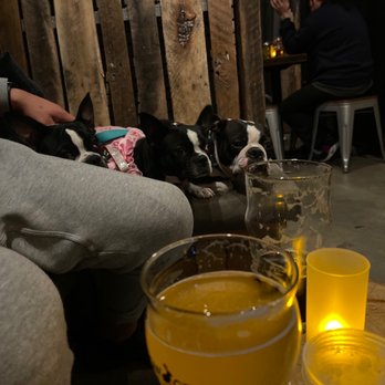 Shadow Grove Brewing - Dog friendly 3 - Breweries Near Me - San Fernando, California