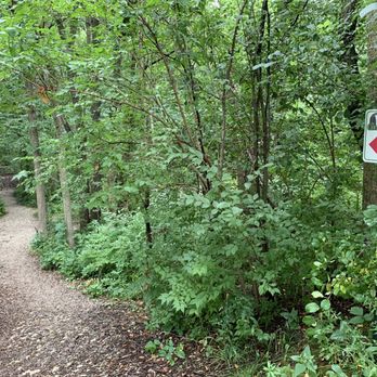 Dellwood Park - Frisbee golf course is excellent. - Parks Near Me - Lockport, Illinois