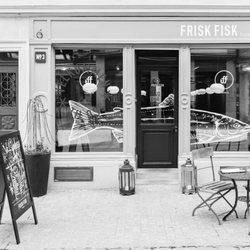 Frisk Fisk Trivisano - Fischrestaurant Zürich
