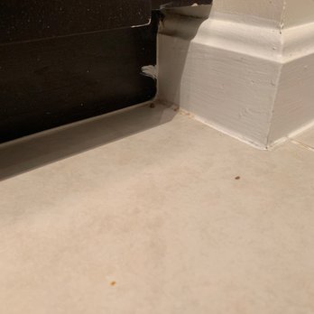 Let's Clean - Home Cleaning Near Me - Sterling, Virginia