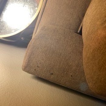 Residences on Bedford - Mouse feces was all over the couch. I had to throw away all living room furniture. - Apartments Near Me - Stamford, Connecticut Residences on Bedford - Mouse feces was all over the couch. I had to throw away all living room furniture. - Apartments Near Me - Stamford, Connecticut