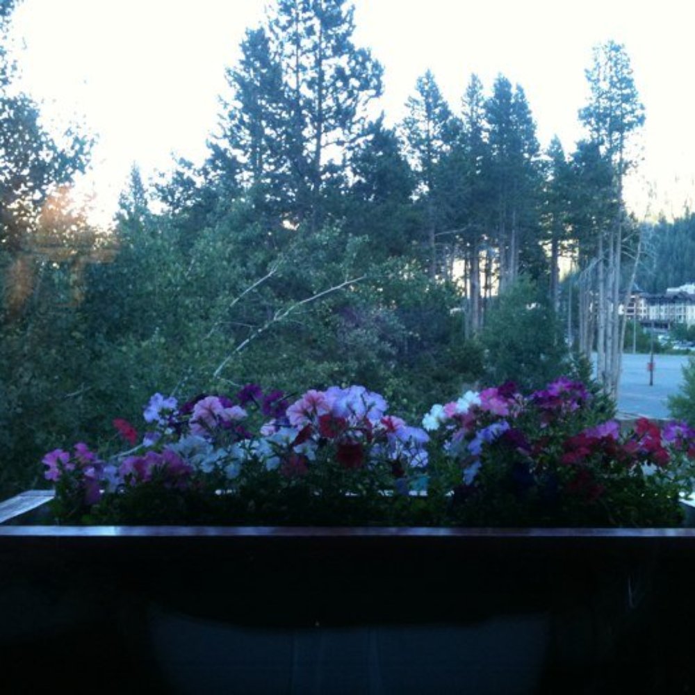 Olympic Village Inn - View from the balcony - Hotels Near Me - Olympic Valley, California