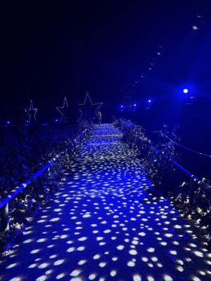 Leeds Castle by null