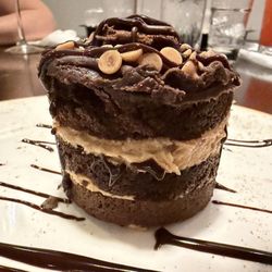 Chocolate peanut butter mousse cake