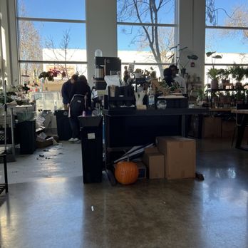 Bloomsgiving - Florists Near Me - Mountain View, California