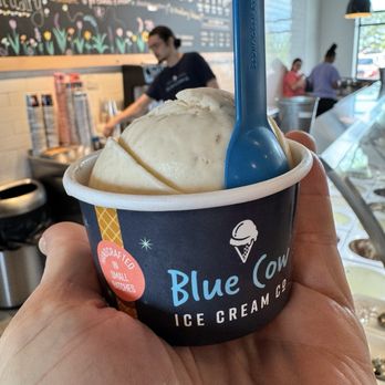 Blue Cow Ice Cream - Peanut butter fudge cup - Ice Cream & Frozen Yogurt Near Me - Virginia Beach, Virginia Blue Cow Ice Cream - Peanut butter fudge cup - Ice Cream & Frozen Yogurt Near Me - Virginia Beach, Virginia