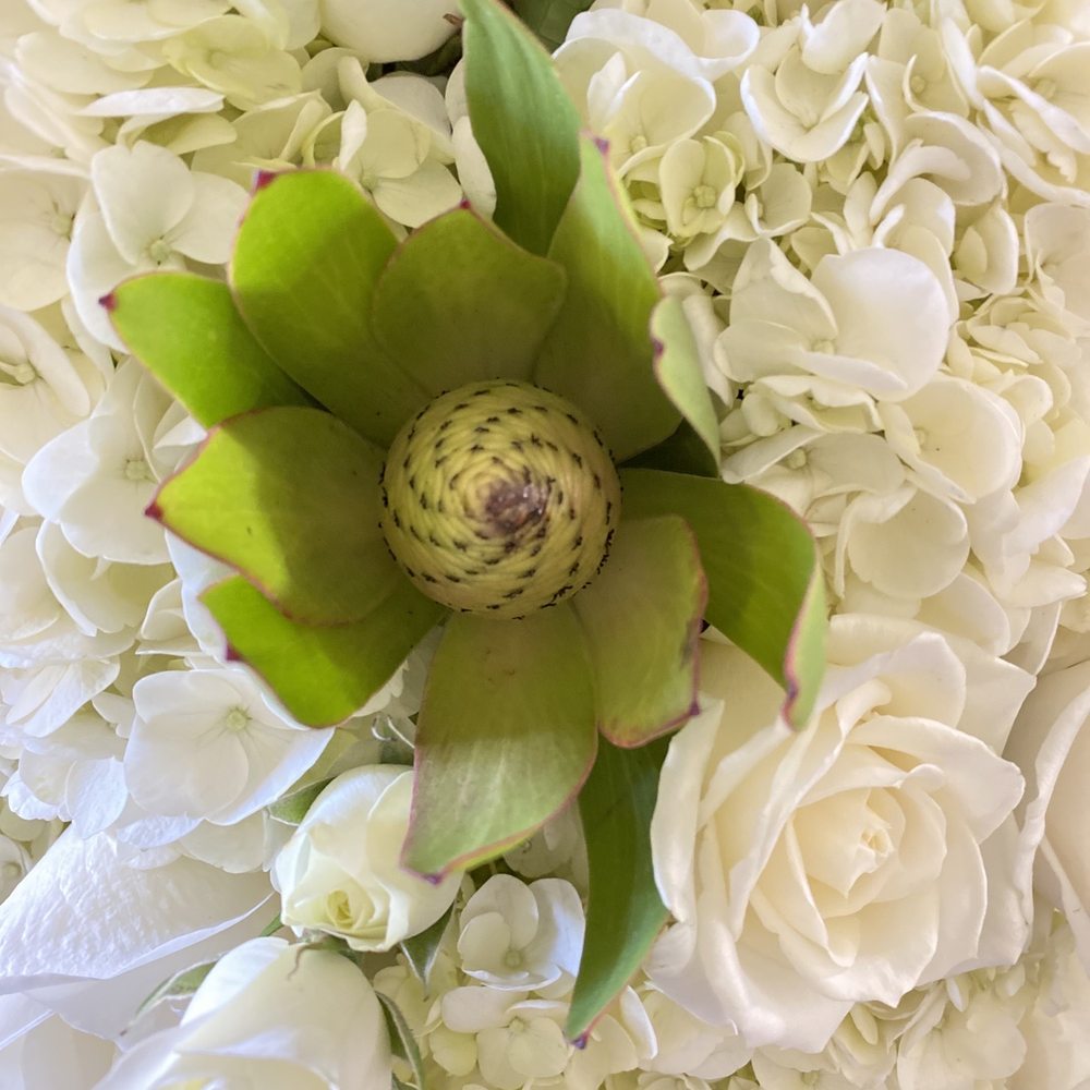 Carola's Floral Designs - Florists Near Me - Calabasas, California Carola's Floral Designs - Florists Near Me - Calabasas, California