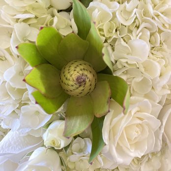 Carola's Floral Designs - Florists Near Me - Calabasas, California Carola's Floral Designs - Florists Near Me - Calabasas, California