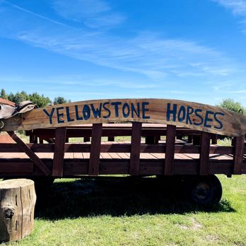 Yellowstone Horses at Eagle Ridge Ranch - Horseback Riding Near Me - Island Park, Idaho