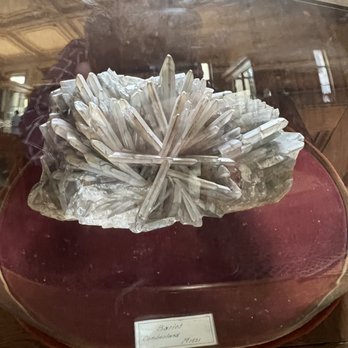 Teylers Museum - Museum - Museums Near Me - Haarlem, New Hampshire