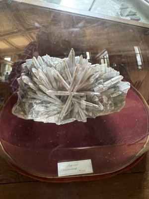 Teylers Museum by null