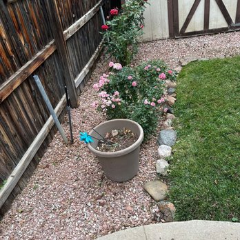 VOX Lawn Services - Lawn Services Near Me