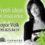 Farmers Insurance - Joyce Volk