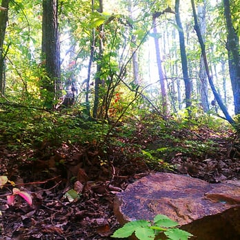 Nanny's Mountain - Taken on Lower Trail - Scenes like this one are found along the embankment. - Parks Near Me - York, South Carolina Nanny's Mountain - Taken on Lower Trail - Scenes like this one are found along the embankment. - Parks Near Me - York, South Carolina