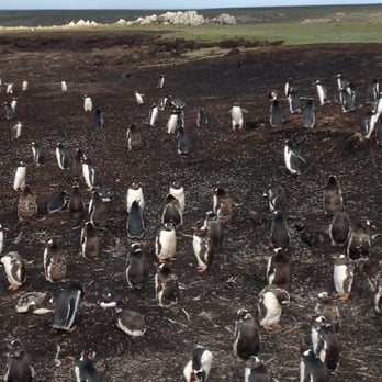 Mid Valley News - Falkland Islands (2014) - Print Media Near Me - El Monte, California