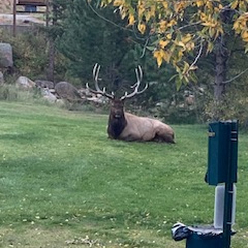 Riverview Pines - Vacation Rentals Near Me - Estes Park, Colorado Riverview Pines - Vacation Rentals Near Me - Estes Park, Colorado