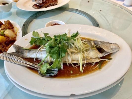 Saikei Chinese Restaurant by null