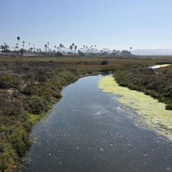 Tijuana Estuary Visitor Center