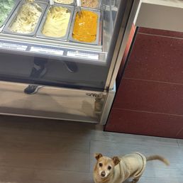 Gelato! Gelato!