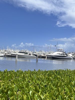 East Island Excursions by null