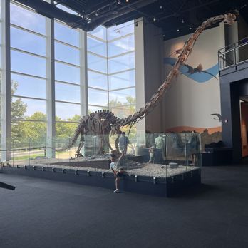 Adventure Science Center - Museums Near Me - Nashville, Tennessee Adventure Science Center - Museums Near Me - Nashville, Tennessee
