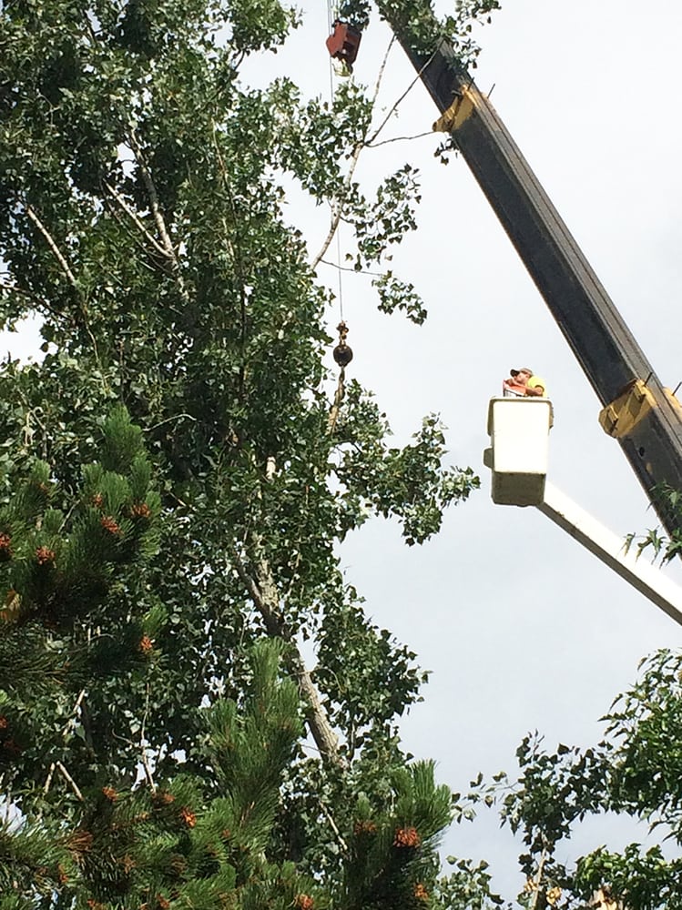 Parker Tree Service - tree service in Caldwell, ID