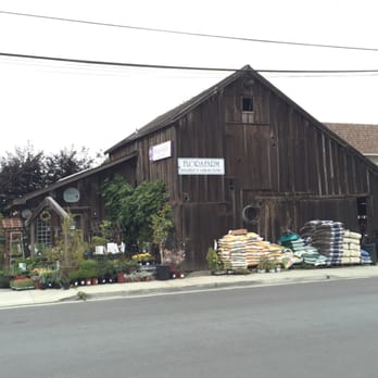 Flora Farm Landscaping - the front of the building - Landscaping Near Me - Half Moon Bay, California Flora Farm Landscaping - the front of the building - Landscaping Near Me - Half Moon Bay, California