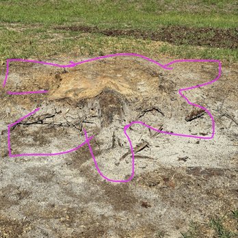 J&B Quality Outdoor Solutions - Improper unfinished grinding - Tree Services Near Me - Live Oak, Florida