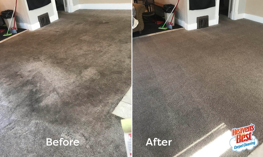 HEAVEN’S BEST CARPET CLEANING LAKE TAHOE Updated July 2024 17