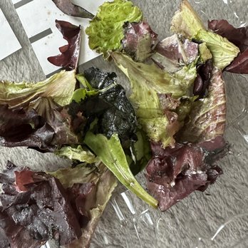 McAlister's Deli - "Fresh" Spring Mix - Delis Near Me - Front Royal, Virginia