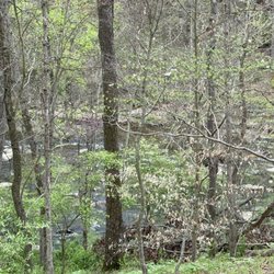 Patapsco Valley State Park - McKeldin Area