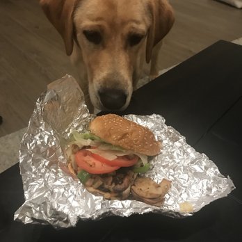 Five Guys - Even my dog didn't wanna eat this nasty burger - Burgers Near Me - Manteca, California