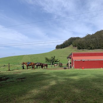 Paniolo Adventures - Horseback Riding Near Me