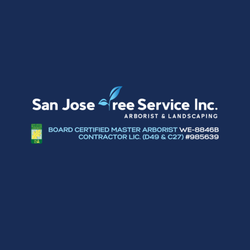 San Jose Tree Service - San Jose Tree Service Inc.