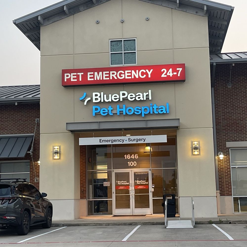 BluePearl Pet Hospital - Veterinarians Near Me - Spring, Texas