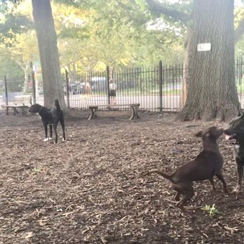 McCarren Park Dog Run - Dog Parks Near Me - Brooklyn, New York McCarren Park Dog Run - Dog Parks Near Me - Brooklyn, New York