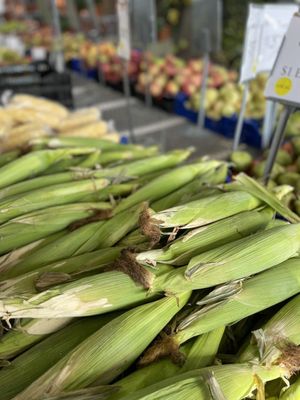 Briermere Farms by null