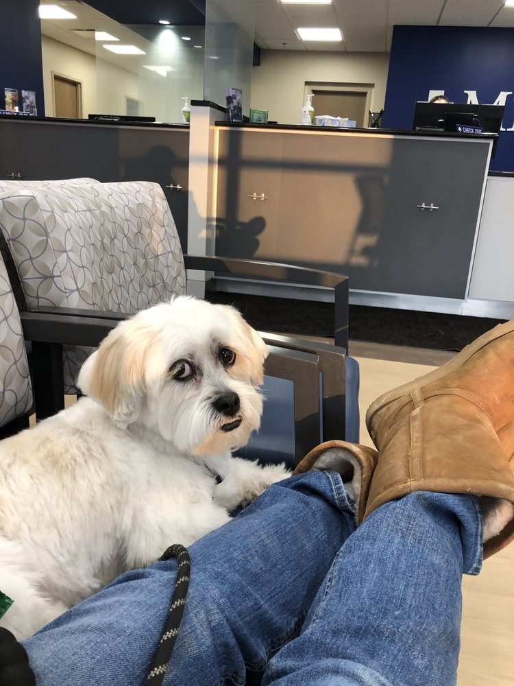 MONROE GROOMING STUDIO 66 Reviews 843 W Monroe St, Chicago