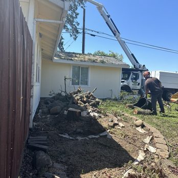 A-1 Prestige Tree Service - Tree Services Near Me A-1 Prestige Tree Service - Tree Services Near Me