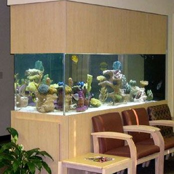Crowned Aquatics - Aquariums Near Me - Des Moines, Iowa Crowned Aquatics - Aquariums Near Me - Des Moines, Iowa