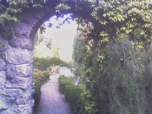 Giardini Botanici Hanbury by null